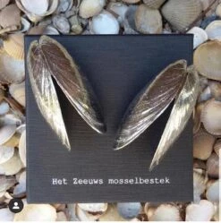 Het Zeeuws Mosselbestek -Tefal Winkel 1192x1200 11