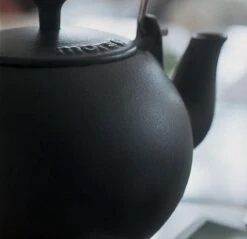 Morso Gietijzeren Waterketel | Houtkachel Theepot - 2 Liter -Tefal Winkel 1200x1160 1