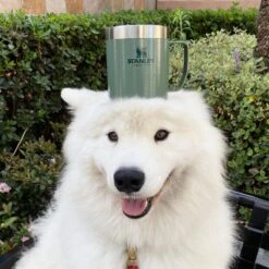 Stanley The Legendary Camp Mug 0,35L - Beker - Hammertone Green -Tefal Winkel 1200x1199 8