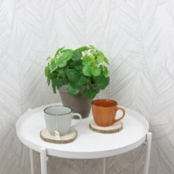 OTIX Koffiekopjes - Met Oor - Set Van 4 - Verschillende Kleuren - Aardewerk - 250 Ml -Tefal Winkel 1200x1200 1108