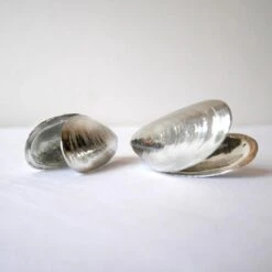 Het Zeeuws Mosselbestek -Tefal Winkel 1200x1200 1300