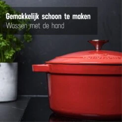 Daumonet Carême Rouge Gietijzeren Braadpan - Sudderpan Kersen Rood - Rond - Ø26 Cm - 4,4 Liter - PFAS & PFOA Vrij - Emaille - Geschikt Voor Alle Warmtebronnen - Elektrisch - Gas - Halogeen - Inductie - Keramisch - Vaatwasserbestendig -Tefal Winkel 1200x1200 557