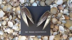 Het Zeeuws Mosselbestek -Tefal Winkel 1200x675 14