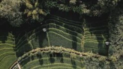 Sola Bestekset Bali - Modern - 9 Persoons - 90 Delig - Zilverwit Edelstaal 18/10 - RVS - Zilver -Tefal Winkel 1200x675 15