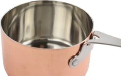 Orange85 Sauspan - Koper - 5x8,5cm - Staal -Tefal Winkel 1200x751 4