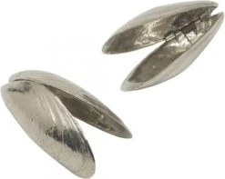 Het Zeeuws Mosselbestek -Tefal Winkel 1200x958 10