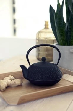 Bredemeijer - Theepot Fujian 1.2L Met Filter -Tefal Winkel 800x1200 48