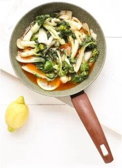 TVS Natura Induction Wokpan - Wok 28 Cm 8 TVS Natura Induction Wokpan - Wok 28 Cm -Tefal Winkel 872x1200 1